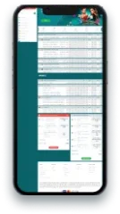 phone